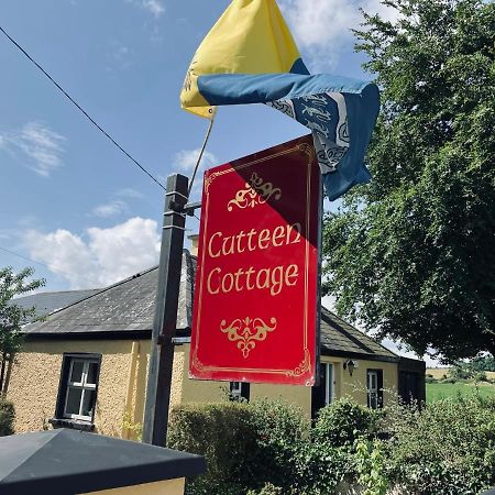 Cutteen Cottage Tulla Екстериор снимка